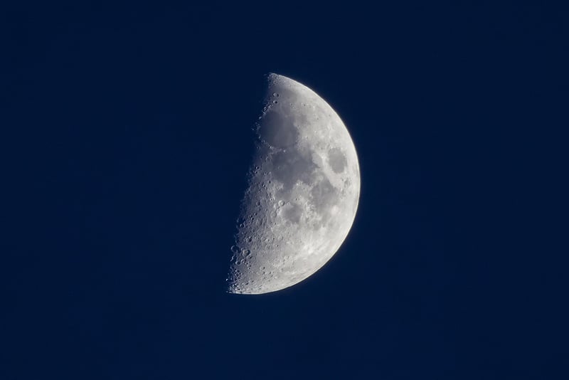 Lunar Colonies